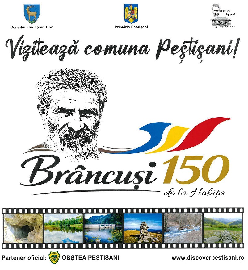 Brancuși 150 ani